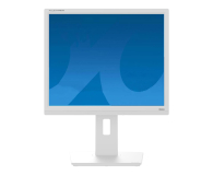 Monitor LED 21" i mniejszy iiyama ProLite B1980S-W1